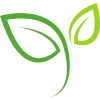 ECO-FRIENDLY PAINT DEZI